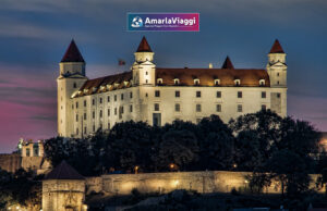 Novi Sad_Belgrado_Vukovar_Budapest_Bratislava_Crociere fluviale Danubio_Vienna_Austria_mini tour_San Carlo Borromeo_Cattedrale di Santo Stefano_a Biblioteca Nazionale_principessa Sissi_ AmarlaViaggi Tour Operator