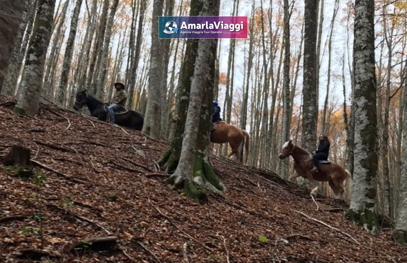 Lago Laceno, Raccolta delle Castagne, Weekend, Pensione Completa, Autunno, Boschi, Folliage, Viaggio di Gruppo, AmarlaViaggi, Tour operator, Raccolta Castagneviaggi organizzati_tour operator