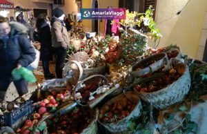 Lago Laceno, Raccolta delle Castagne, Weekend, Pensione Completa, Autunno, Boschi, Folliage, Viaggio di Gruppo, AmarlaViaggi, Tour operator, Raccolta Castagneviaggi organizzati_tour operator