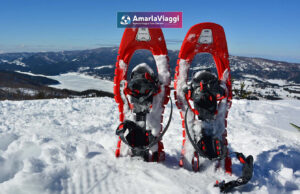 Esplora l'incantevole paesaggio invernale con Amarlaviaggi nel suggestivo "Weekend sulla neve in Sila a Lorica". Sci, relax e panorami mozzafiato ti attendono in questo indimenticabile rifugio montano.