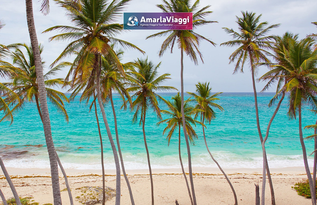 Caraibi Espl 05 Sole e mare a Santo Domingo con Amarlaviaggi