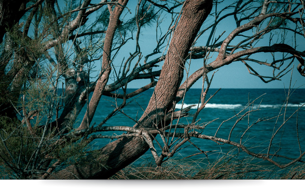 Escursione alla riserva naturale di Torre Guaceto con Amarlaviaggi