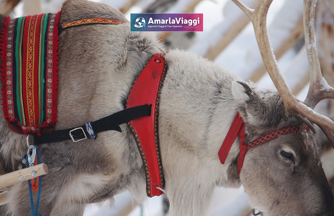 Tour a Rovaniemi nella terra di Babbo Natale Tour Rovaniemi alla scoperta dei luoghi di Babbo Natale: alla ricerca dell'aurora boreale passando per il villaggio di Babbo Natale