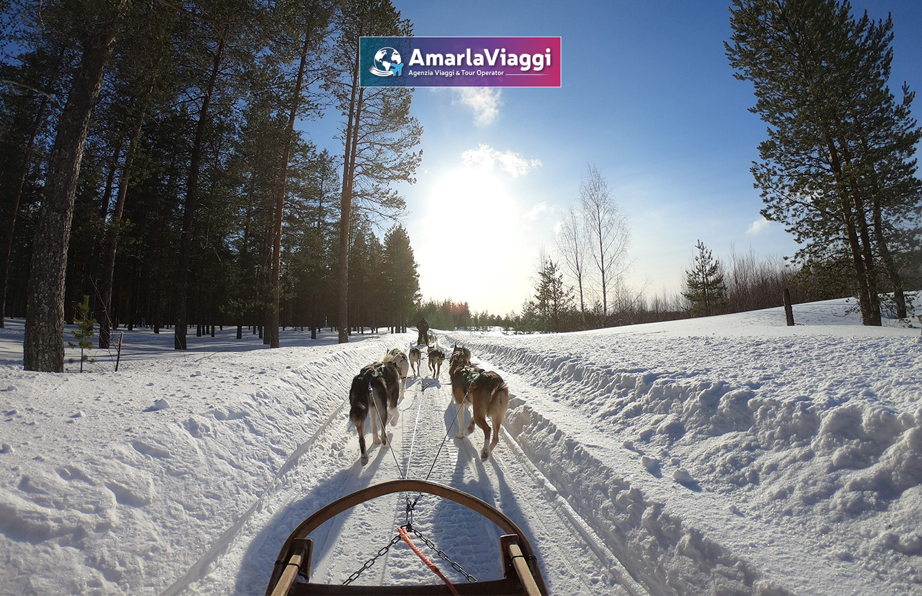 Tour a Rovaniemi nella terra di Babbo Natale Tour Rovaniemi alla scoperta dei luoghi di Babbo Natale: alla ricerca dell'aurora boreale passando per il villaggio di Babbo Natale