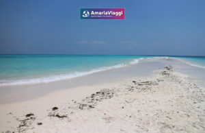 Esplora il paradiso tropicale di Zanzibar: spiagge bianche, mercati vivaci e cultura affascinante. Un'esperienza unica ti aspetta sotto il sole dell'oceano Indiano. Scopri Zanzibar ora!
