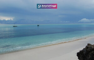 Esplora il paradiso tropicale di Zanzibar: spiagge bianche, mercati vivaci e cultura affascinante. Un'esperienza unica ti aspetta sotto il sole dell'oceano Indiano. Scopri Zanzibar ora!