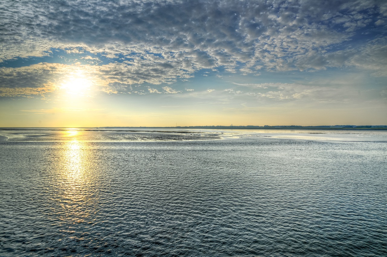 zanzibar maree 