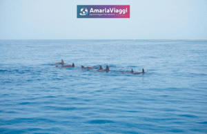 marsa alam
