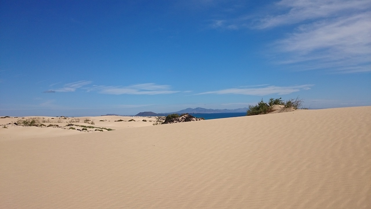 dune