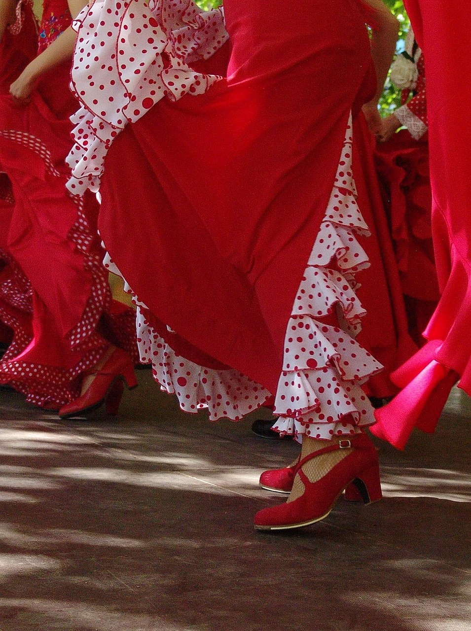 flamenco