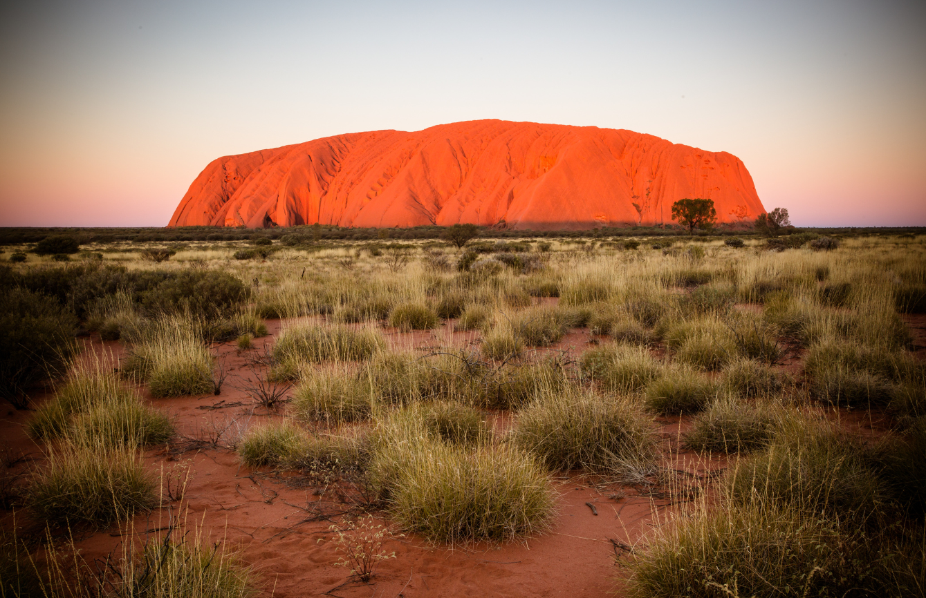 ULURU