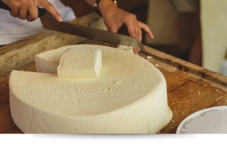 Daily Tour alle grotte di Castellana e tour in un'azienda agricola con degustazione
