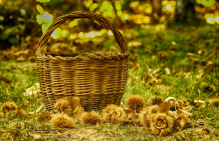 castagne