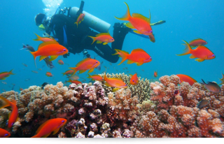 marsa alam
