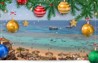 sharm natale