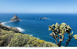 Tenerife con Amlarlaviaggi